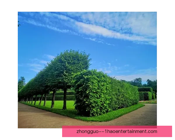 世界杯推出创新草坪自热排水系统提升比赛场地表现